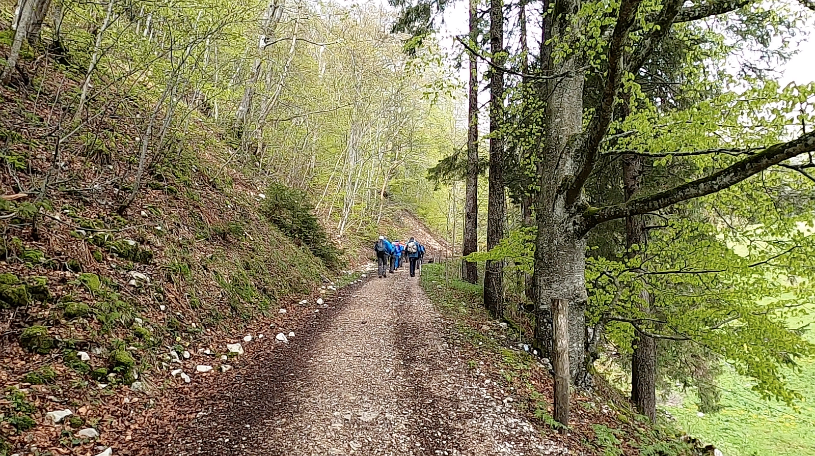 22_22. Mai 21_G Wanderung Grenchenberg (111).png